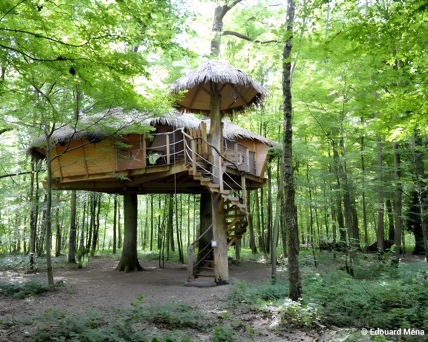 Cabane Fontaine Châtel dans la forêt
