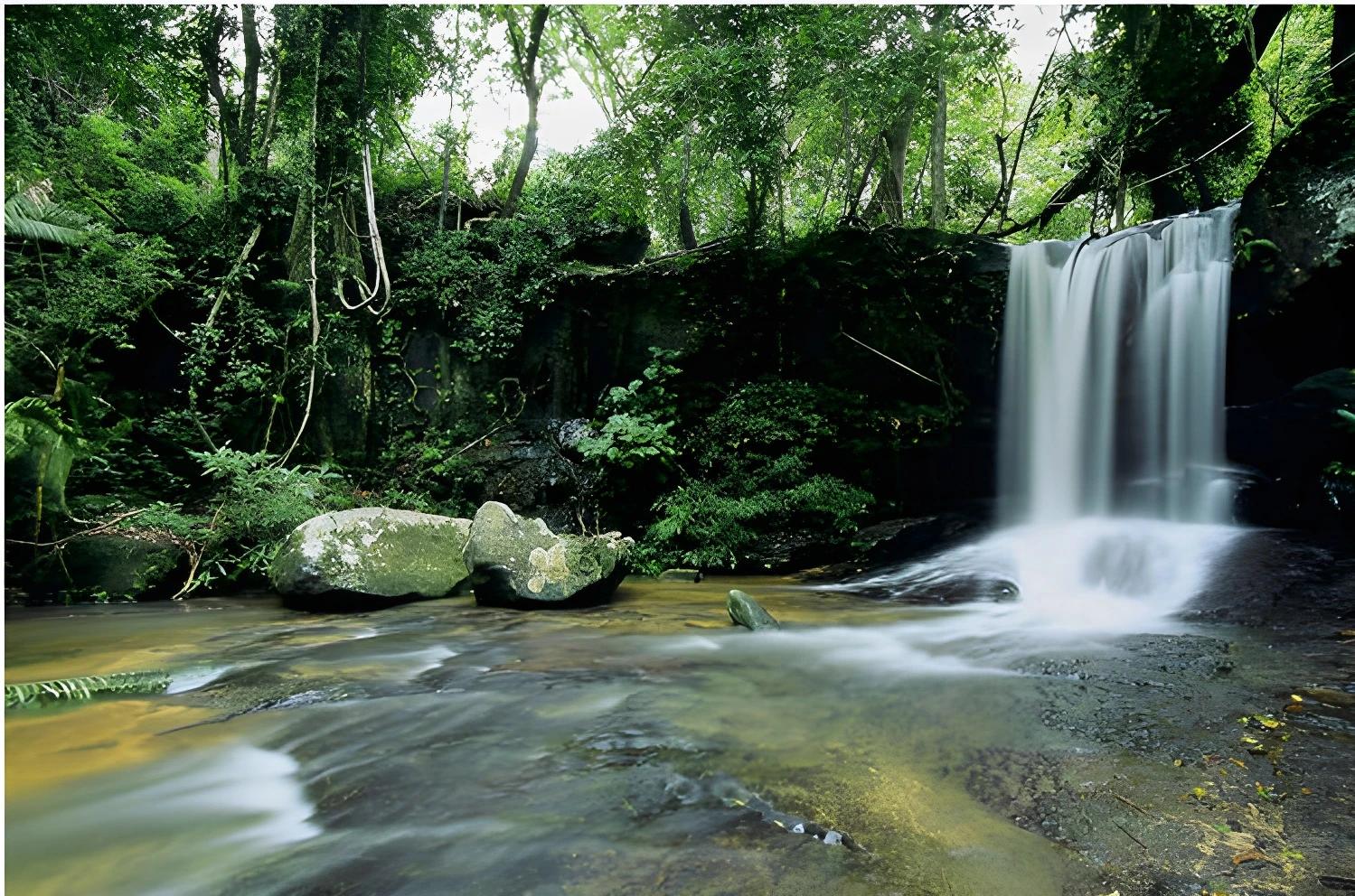 Cascade paisible dans la jungle lors de la Balade millénaire