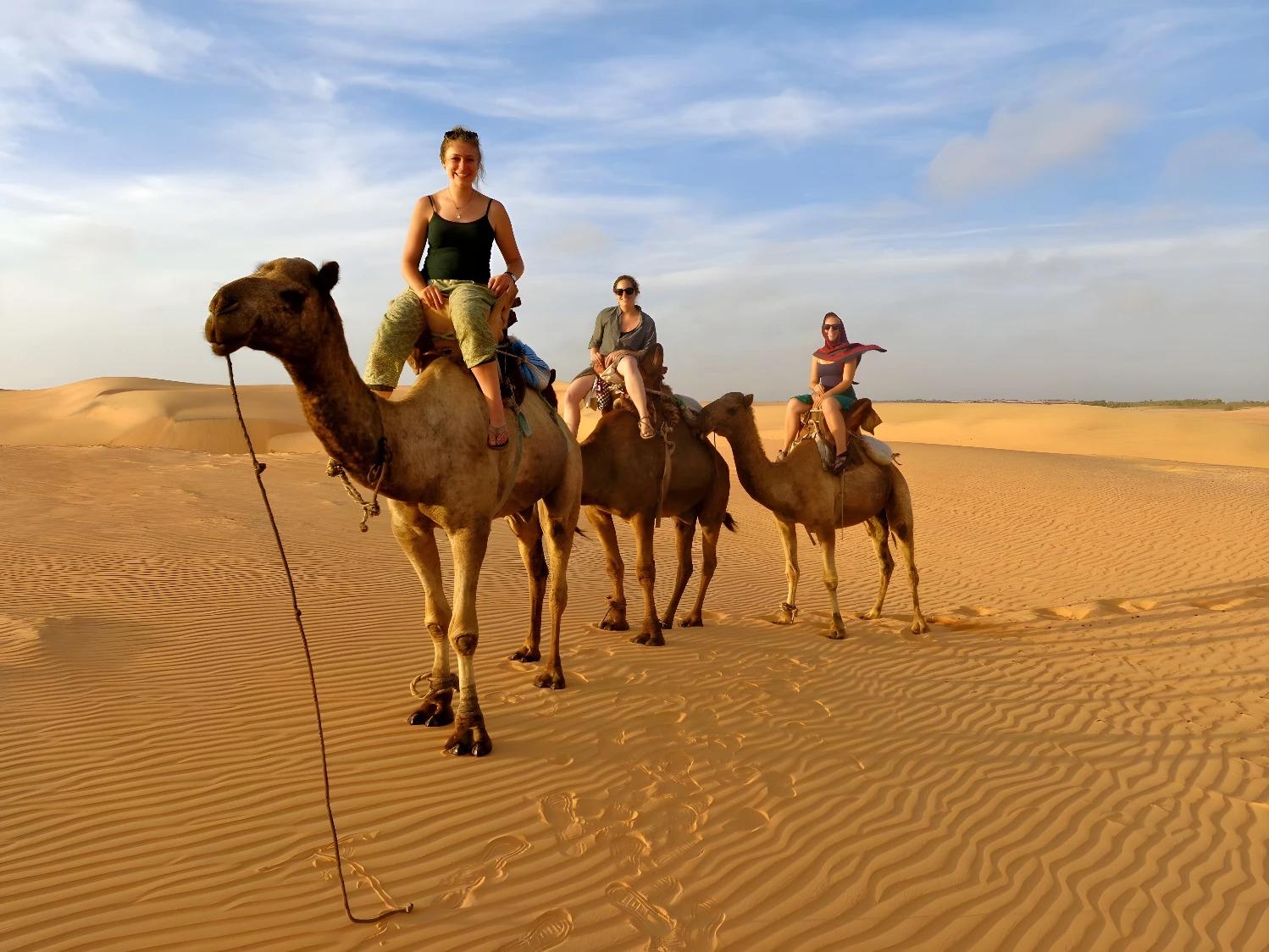 Promenade à dos de chameau dans le désert pour Le parfum du Saloum - 7 nuits