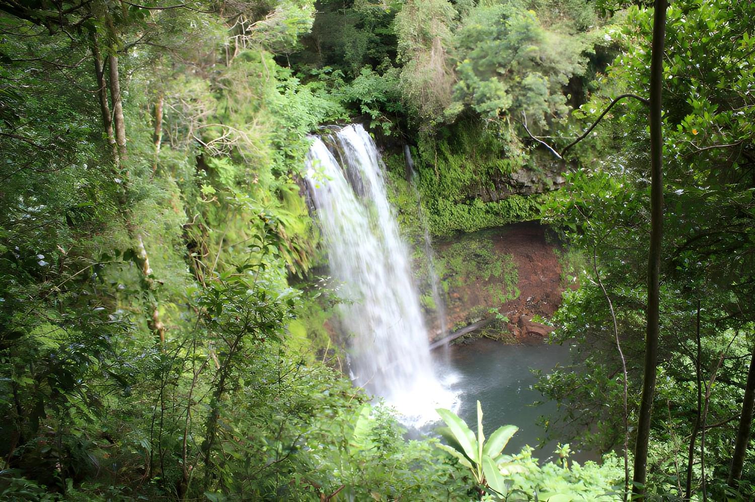 Chute d'eau entourée de verdure pour Les merveilles du nord en lodge