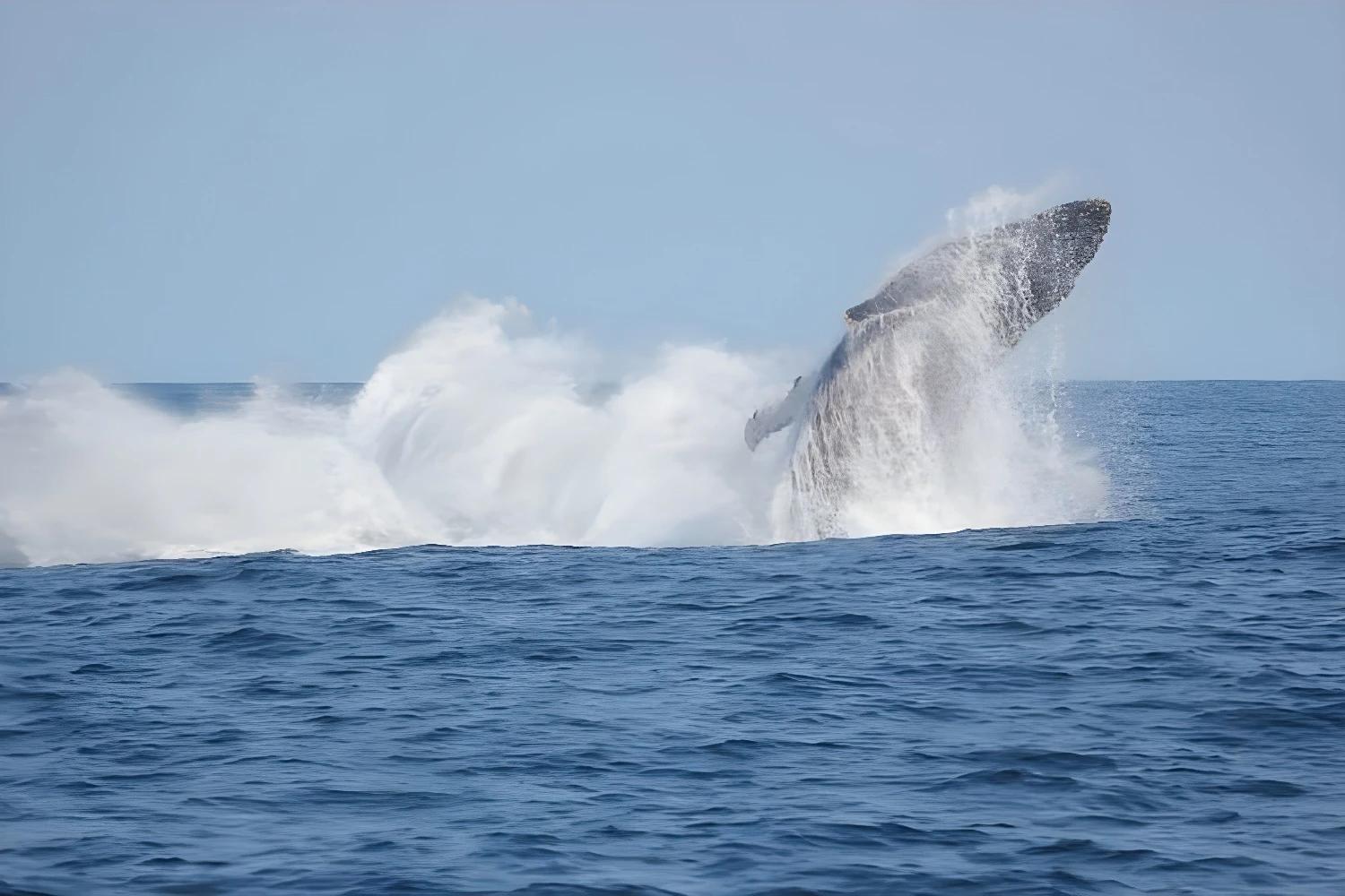 Famille marchant sur la plage avec un bateau à voile à Ankasy Lodge