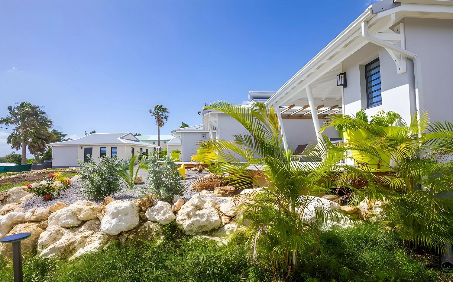 Jardin luxuriant à Iguane House Villas & Spa avec plantes colorées.