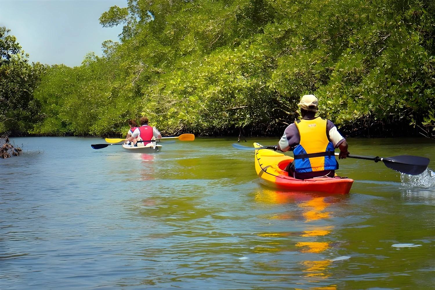 Groupe de personnes en kayak à travers la mangrove en Casamance pour le produit Rando et kayak en Casamance