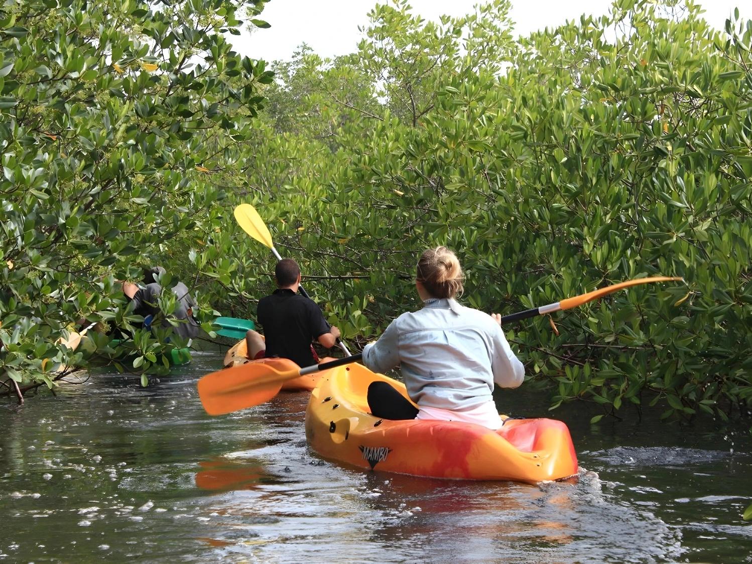 Kayak dans les mangroves pour Le parfum du Saloum & extension balnéaire - 10 nuits