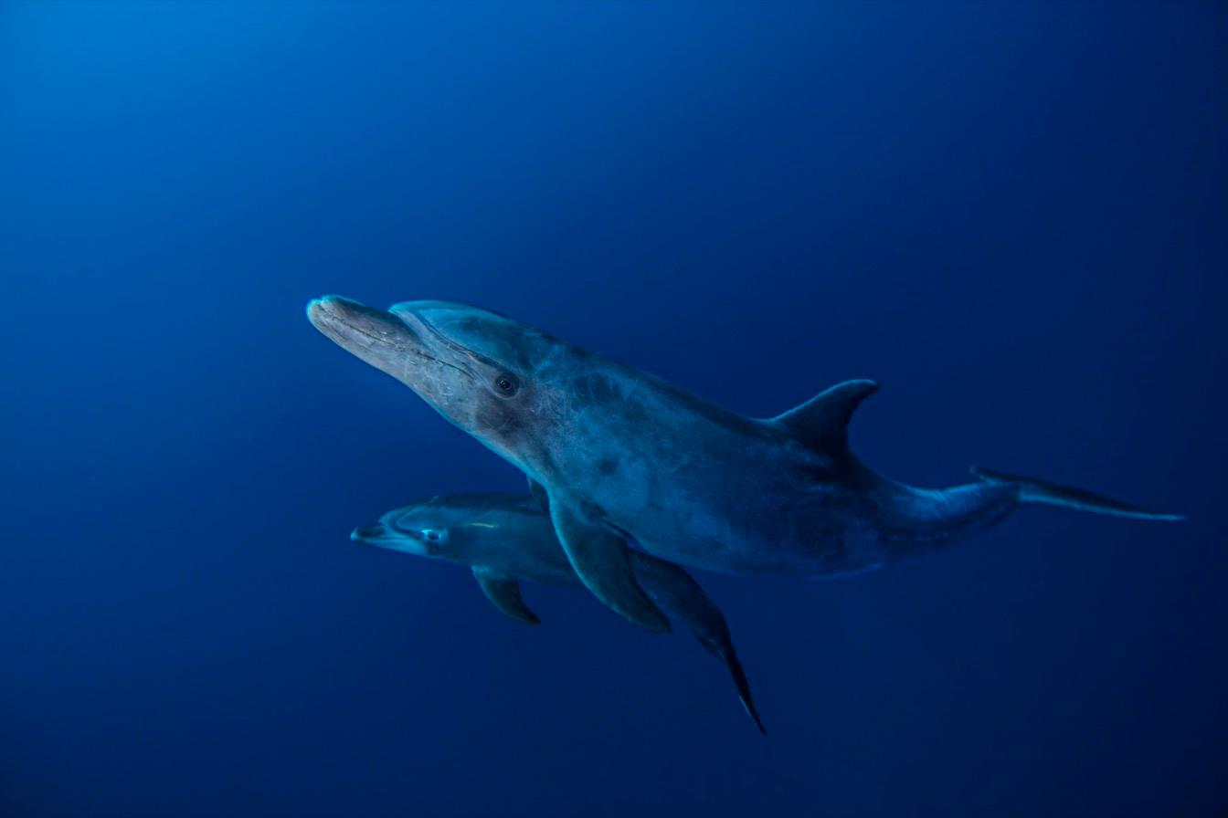 mer rouge voyager responsable