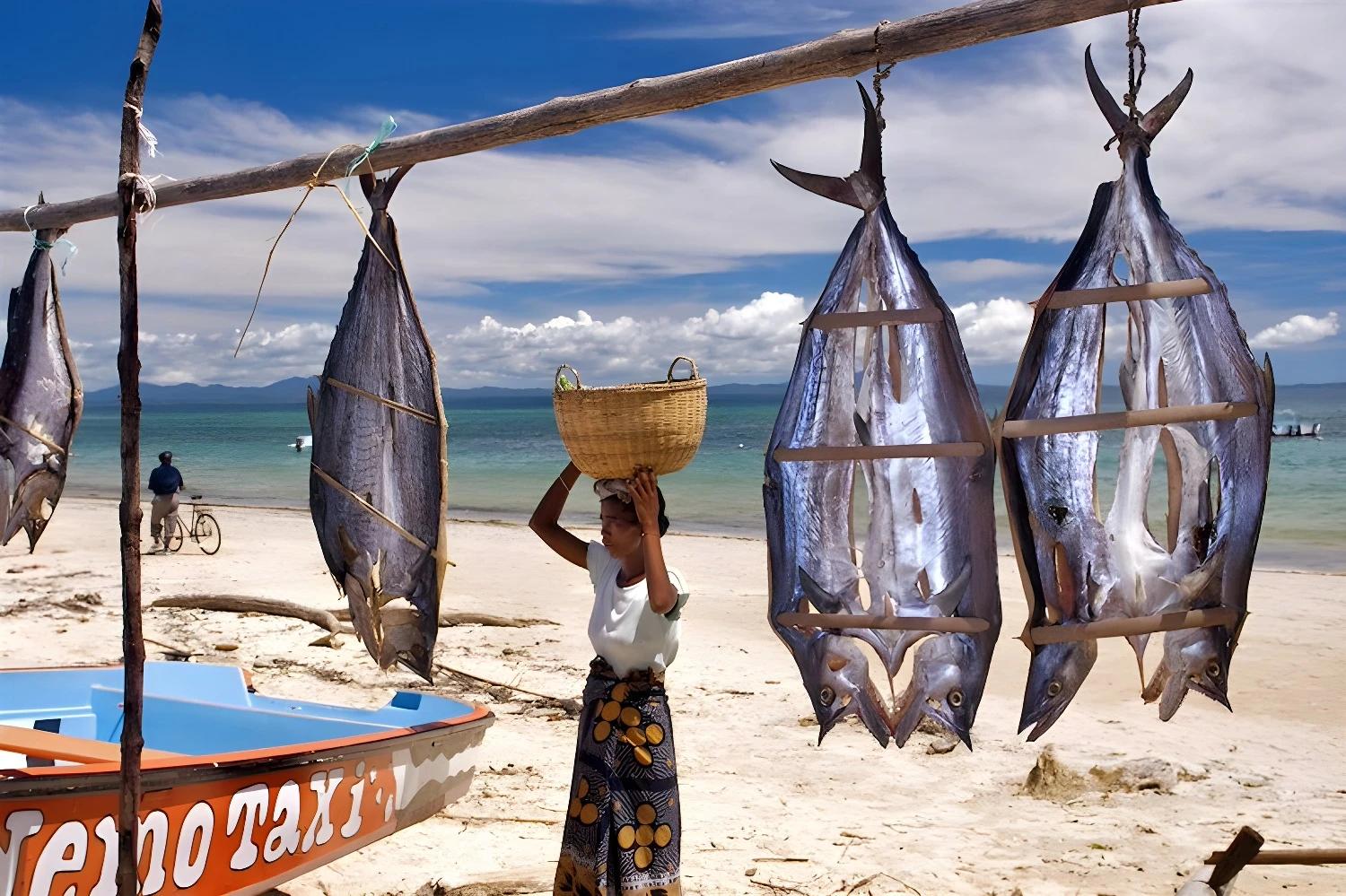 Scène de pêche traditionnelle sur la plage pour Les merveilles du nord en lodge