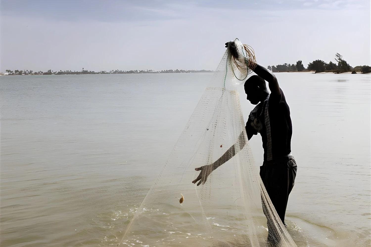 Pêcheur lançant un filet dans le Sine Saloum intime.