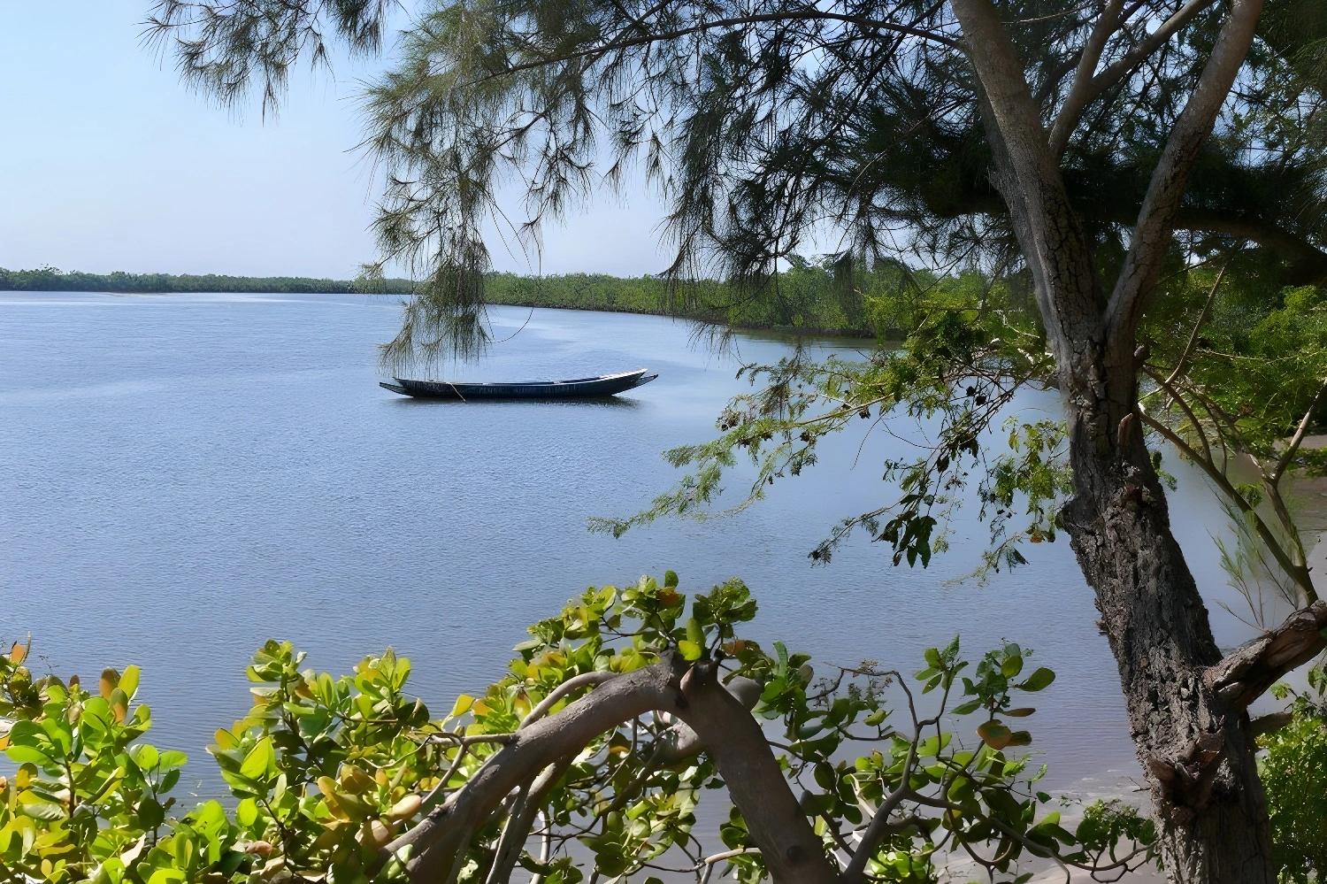 Pirogue sur une rivière bordée d'arbres en Casamance pour le produit Rando et kayak en Casamance