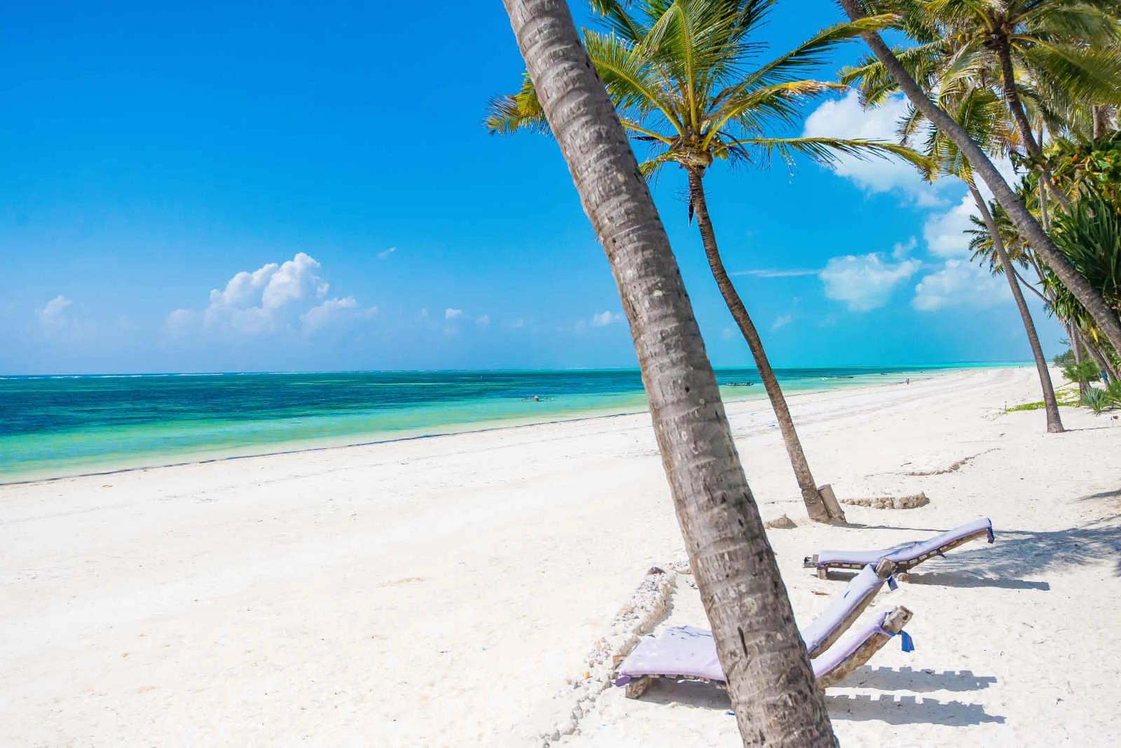Plage de sable blanc et palmiers à Indigo Beach