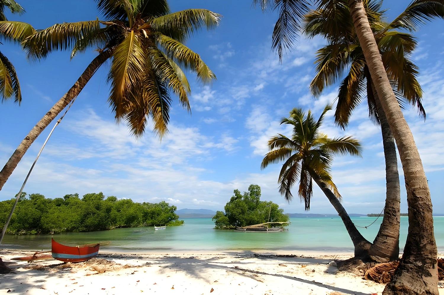 Plage paradisiaque avec palmiers pour Les merveilles du nord en lodge