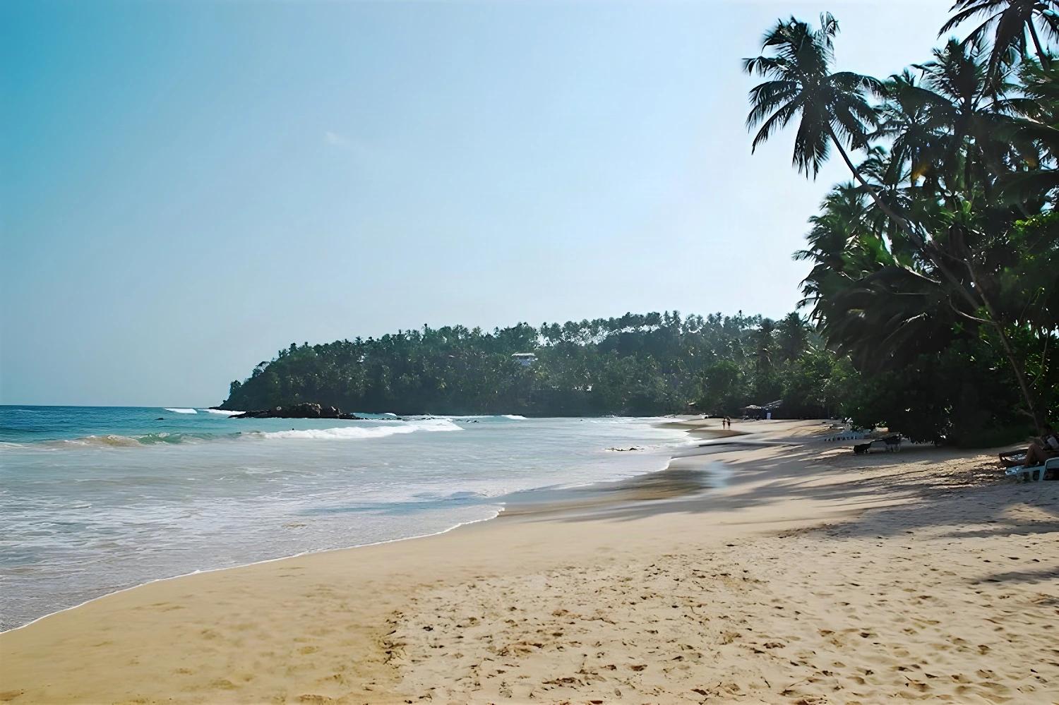 Plage de sable doré bordée de palmiers au Sri Lanka, une escapade tropicale avec Ceylan passionnément !