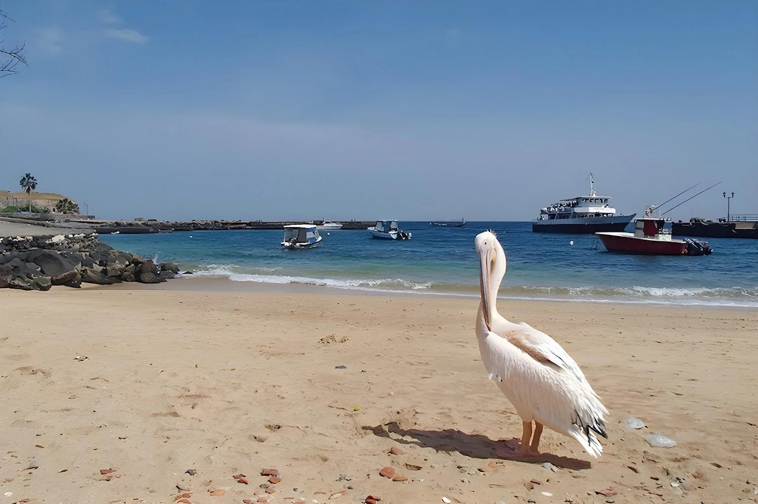 En famille au Siné Saloum : plage avec pélican et bateaux