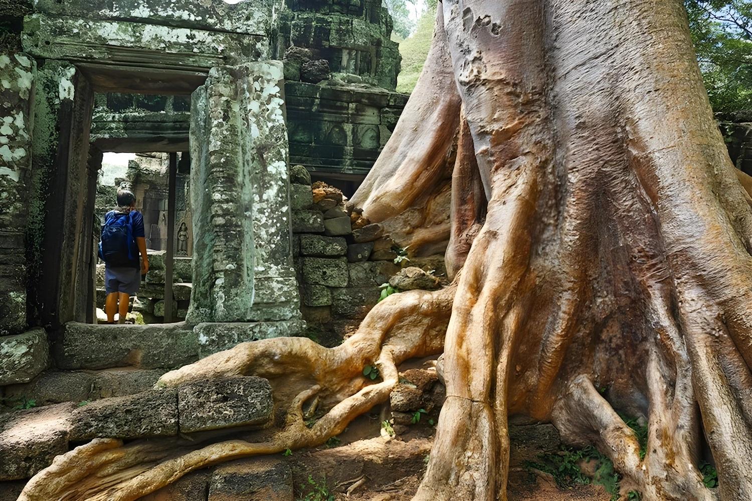Racines d'arbres sur les ruines d'Angkor, En terre khmère, un Best of Cambodgien