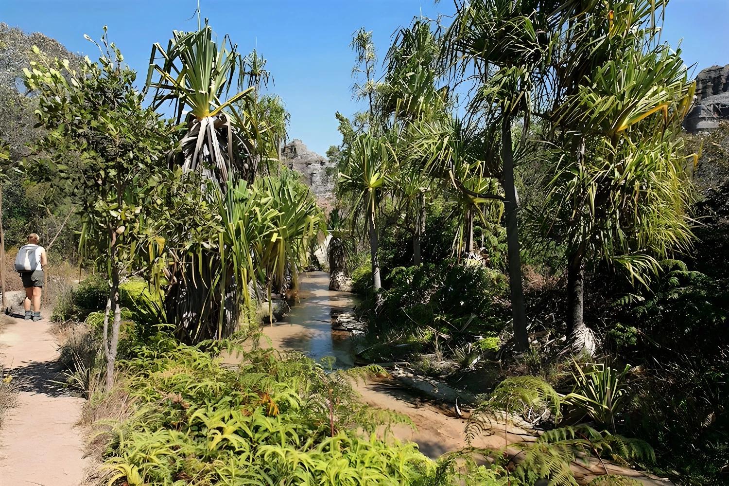 Randonnée dans un canyon lors du Trek du Makay aux grands Tsingy