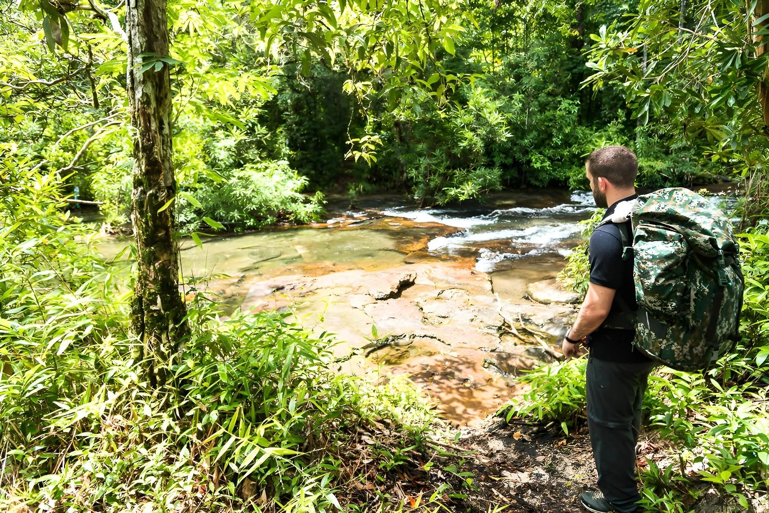 Traversée de la jungle luxuriante avec randonnée en forêt
