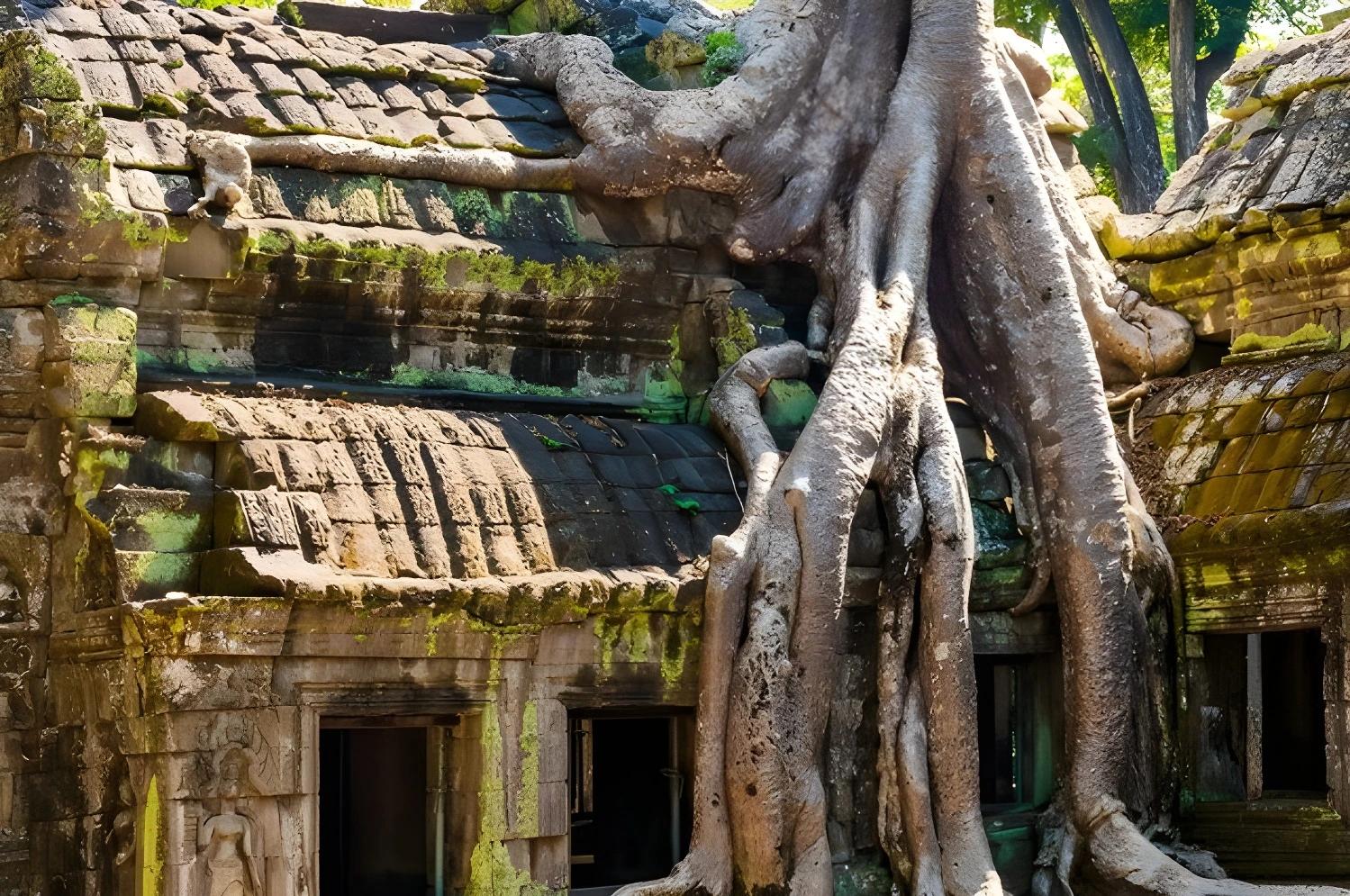 Ruines avec racines d'arbres, Circuit Privé Légendes khmères (cat. sup.) - Cambodge