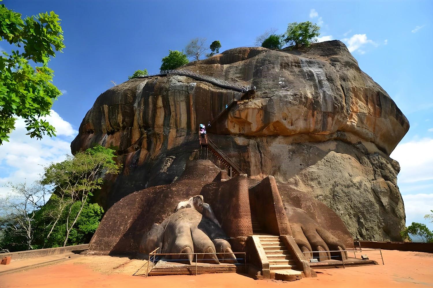 Vue d'un safari en famille observant des éléphants au Sri Lanka, une expérience de One Two Sri... Lanka !