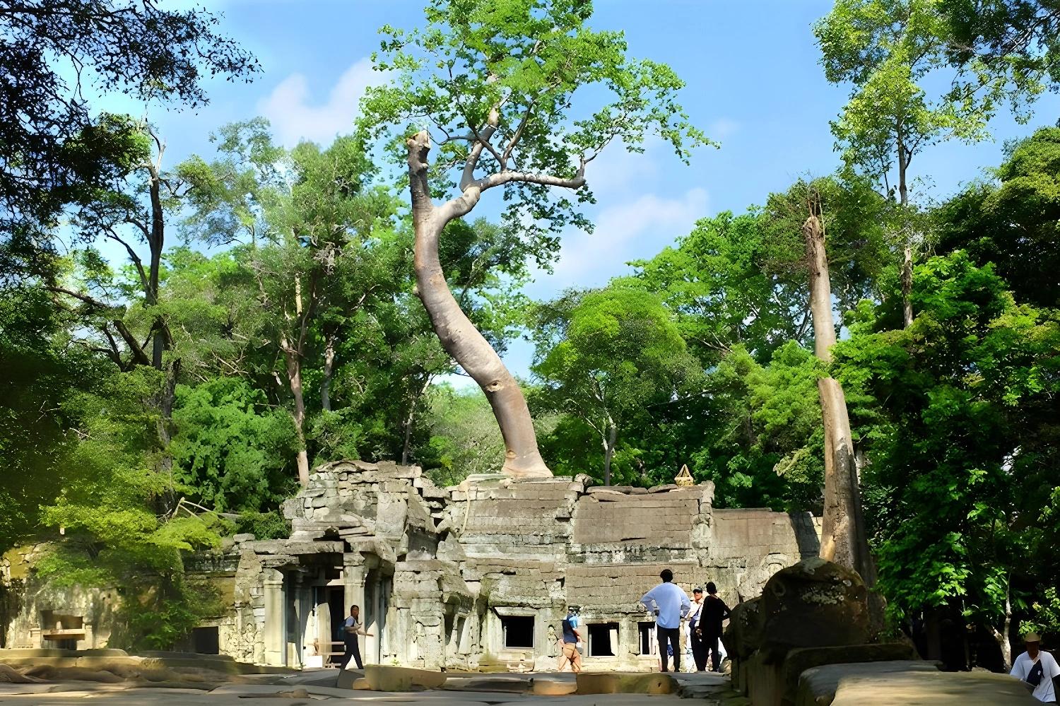 Temple d'Angkor entouré de nature, En terre khmère, un Best of Cambodgien