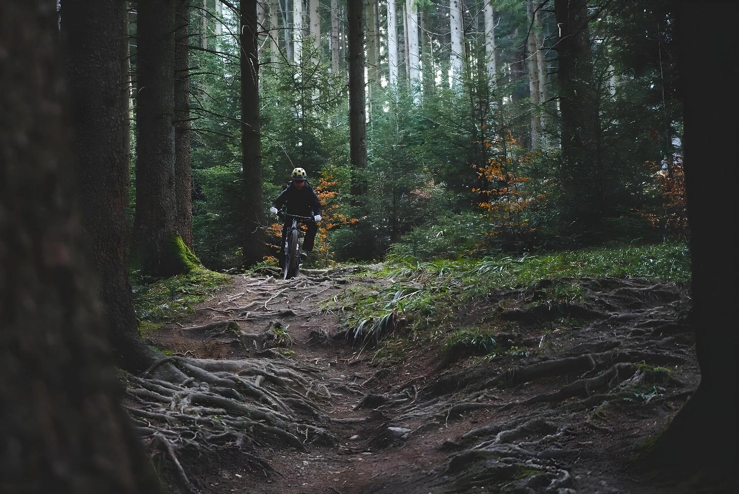 VTTiste explorant une forêt pour Aventure Nordique