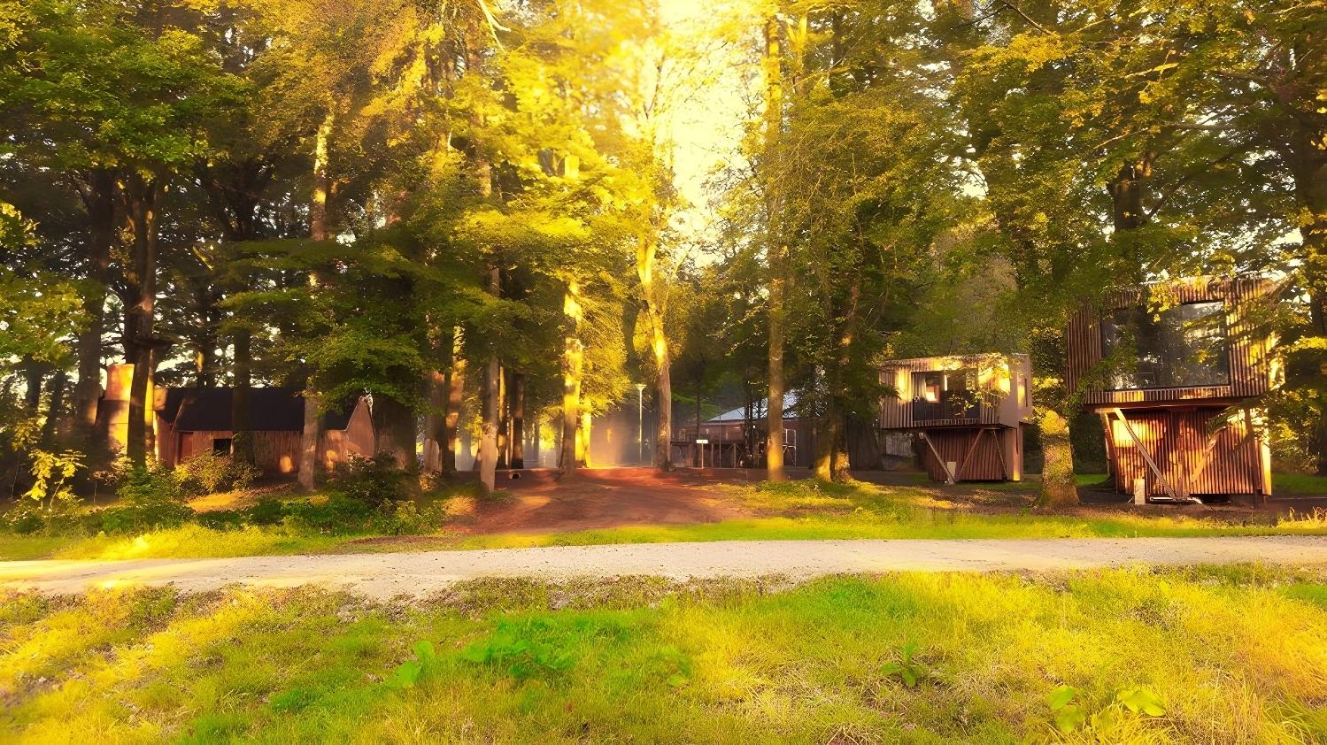 Vue d'ensemble de L'Etape en Forêt au coucher du soleil.