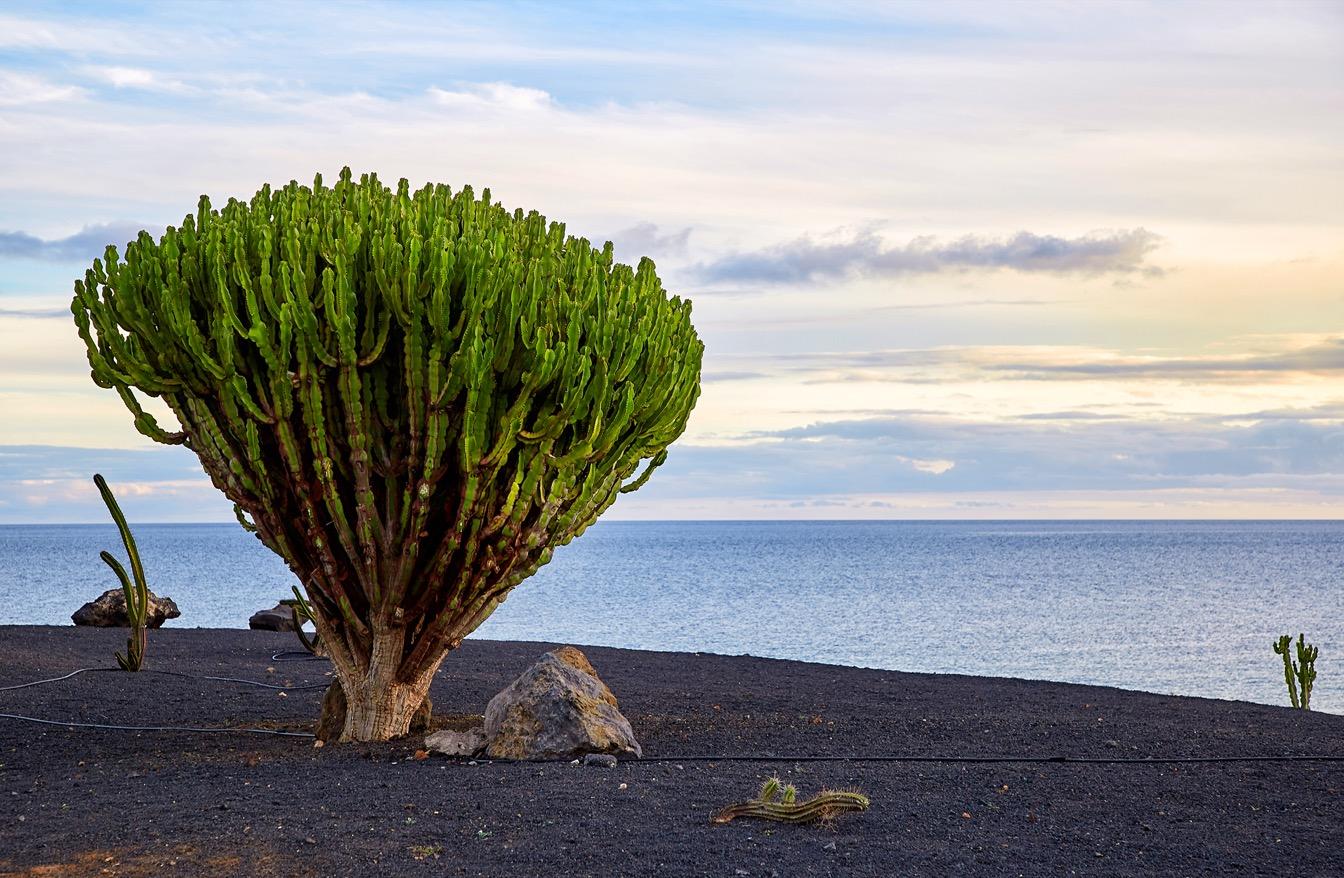 tourisme-conscient-canaries-fin