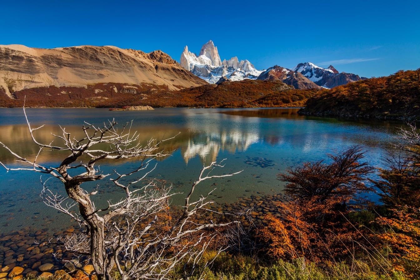 patagonie-entre-glaciers-nature
