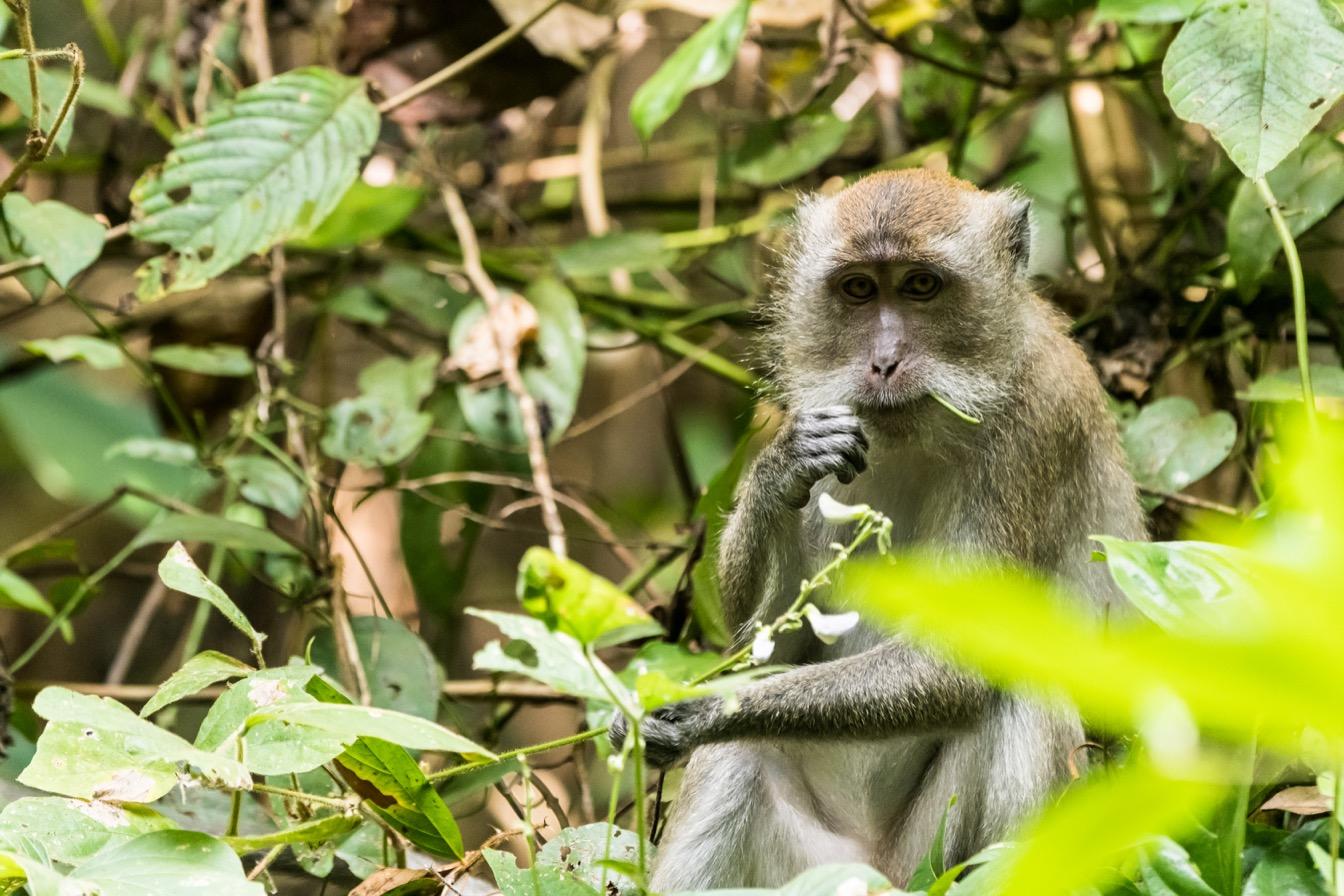 lac cheow lan nuit flottante famille