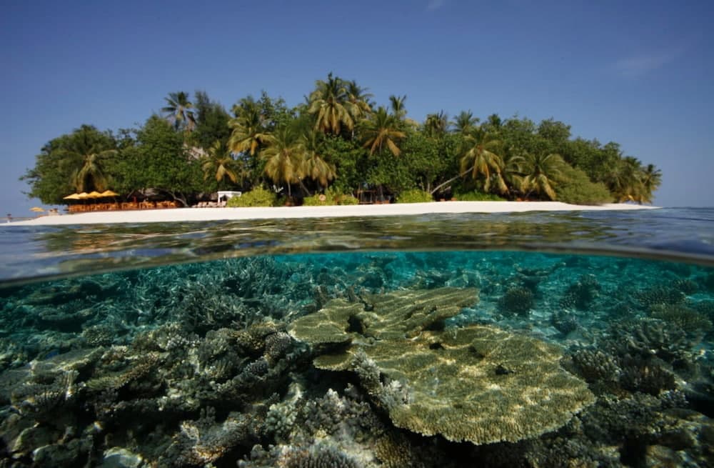 luxe-ecoresponsable-maldives