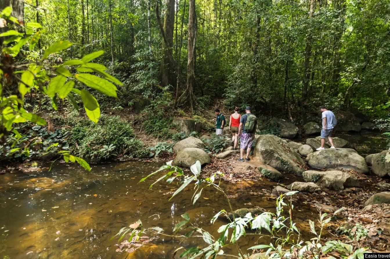 randonnee familiale parc khao sok