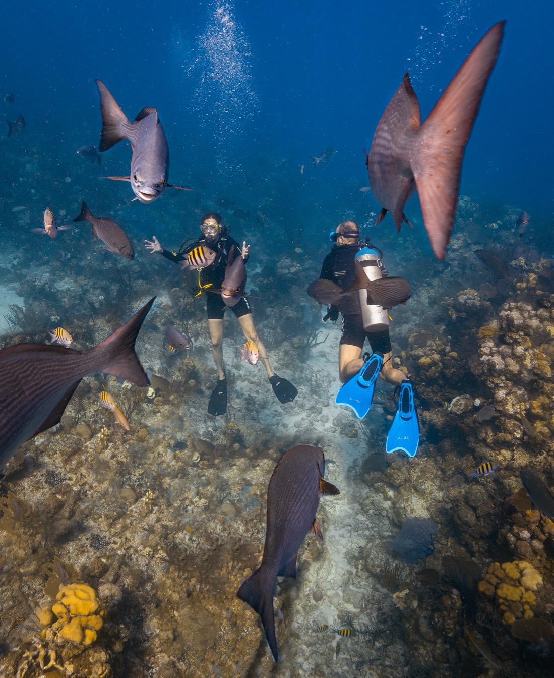 tresors caches sous eau snorkeling plongee