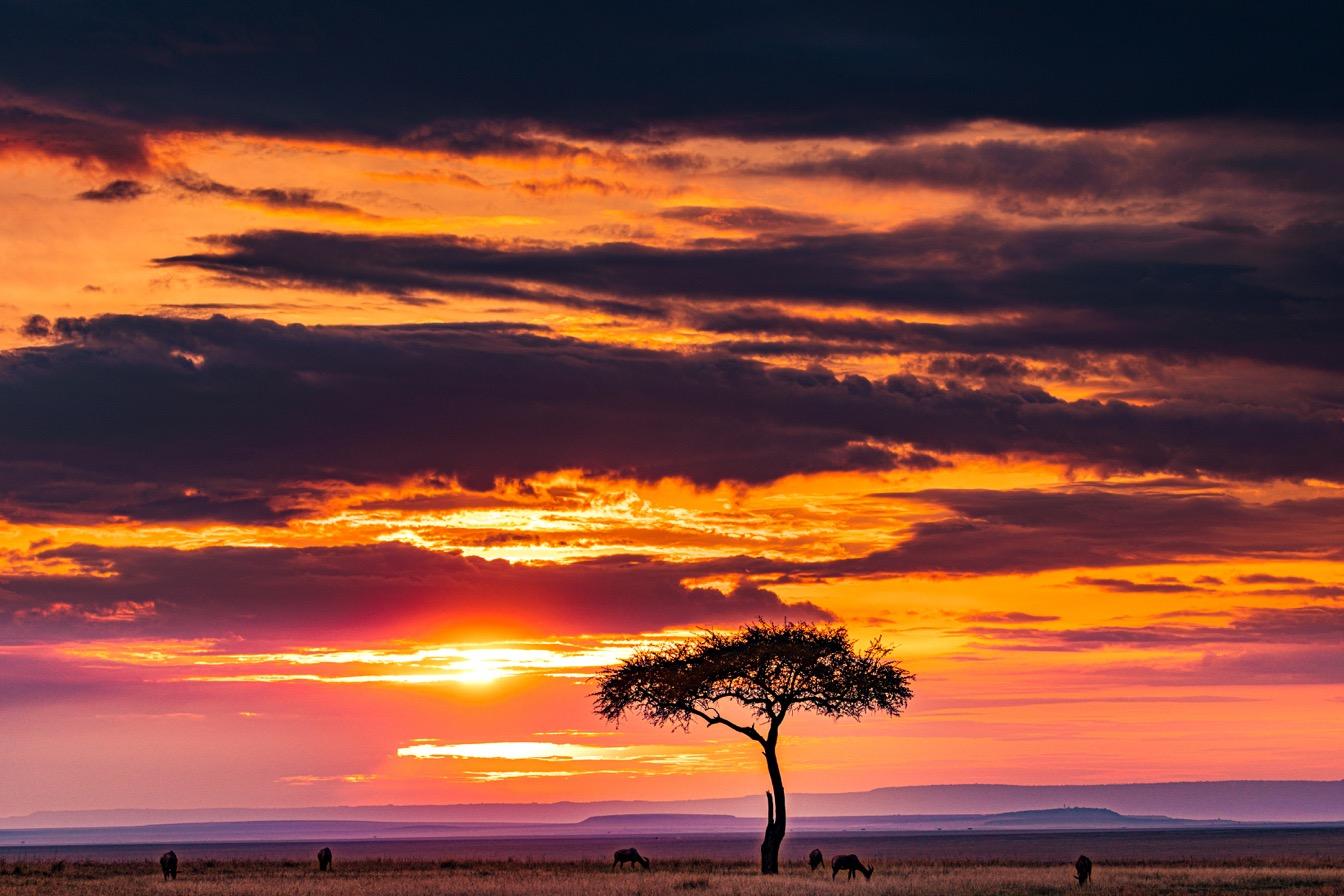 choisir-tanzanie-voyage-sens
