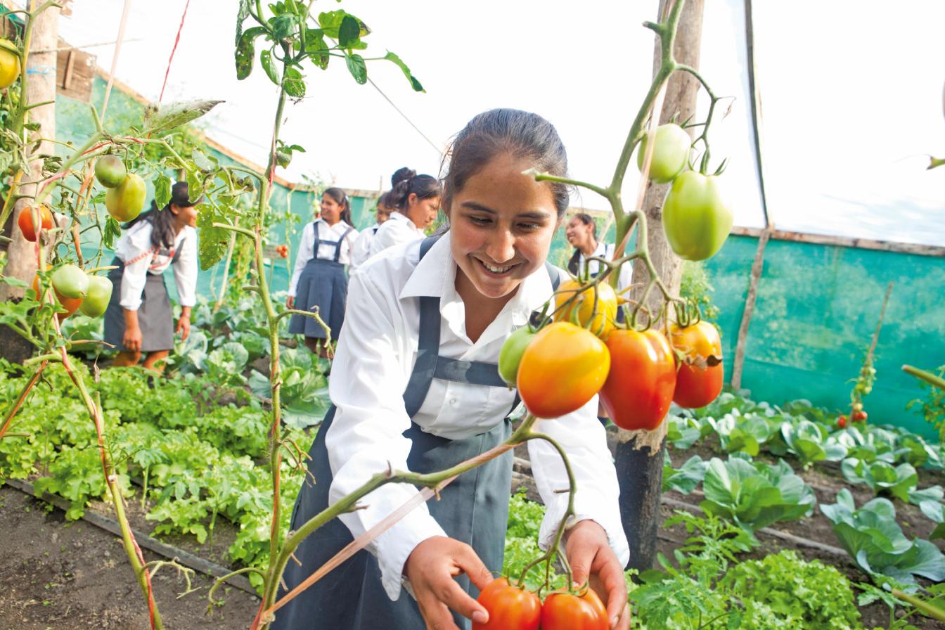 projets-solidaires-agir-communautes-peruviennes