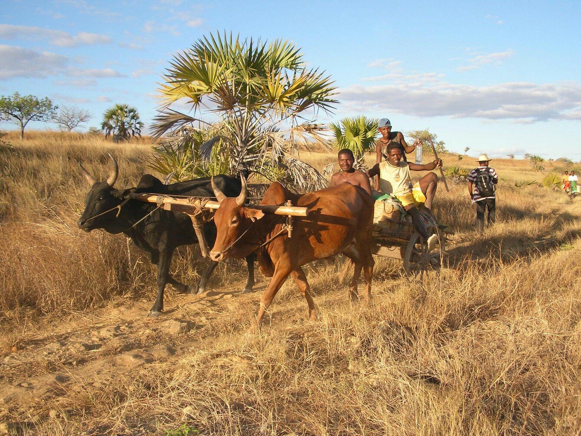 projets-solidaires-participer-developpement-local