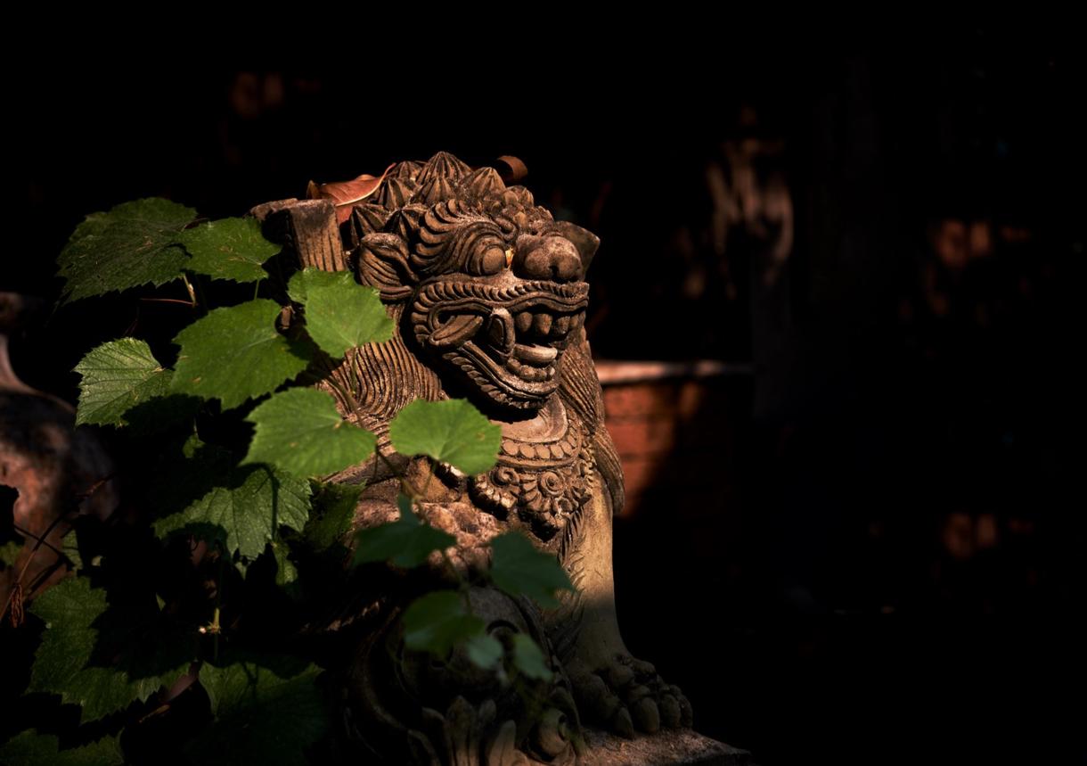 Statue de lion à Bali, partiellement éclairée, entourée de feuillage
