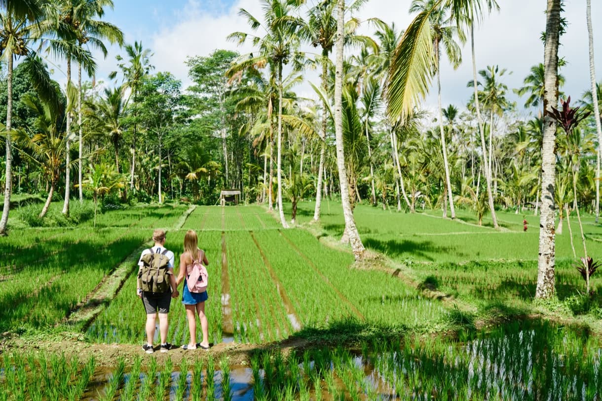 Couple en randonnée dans des rizières luxuriantes à Bali, entouré de palmiers et de verdure