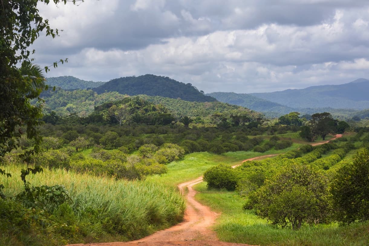 Route sinueuse à travers la verdure luxuriante du Belize, avec des collines en arrière-plan.