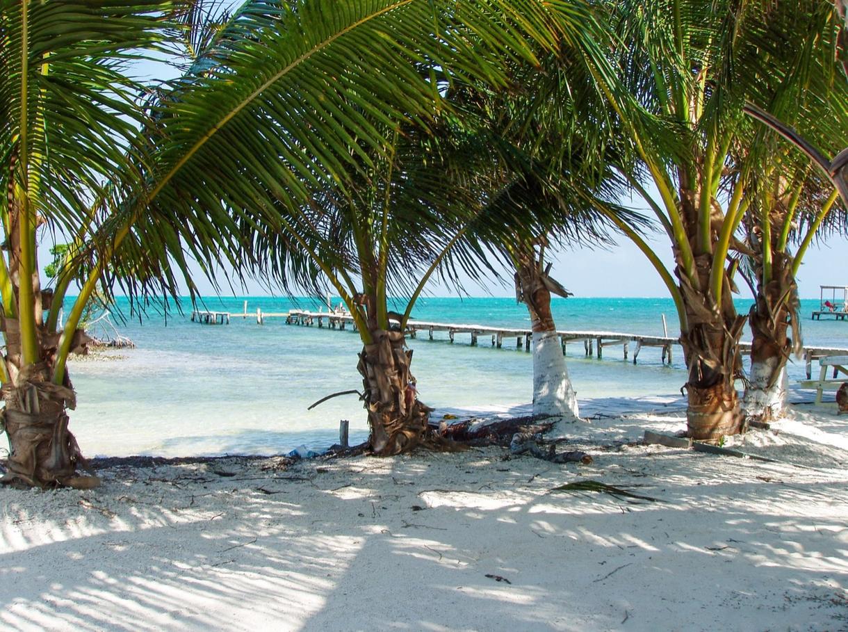 Vue sur l'océan à travers des palmiers sur une plage de sable blanc au Belize