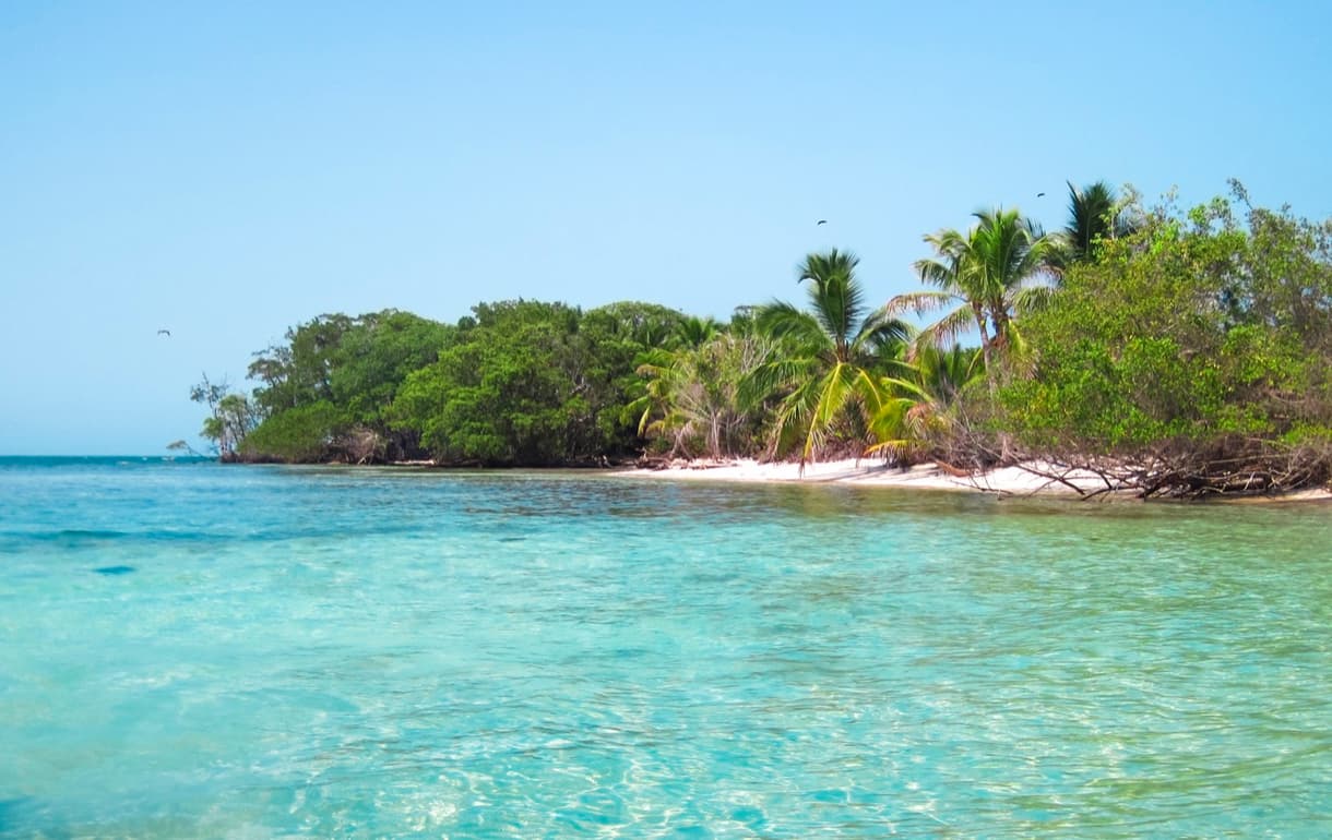 Plage tropicale avec palmiers et eau turquoise au Belize