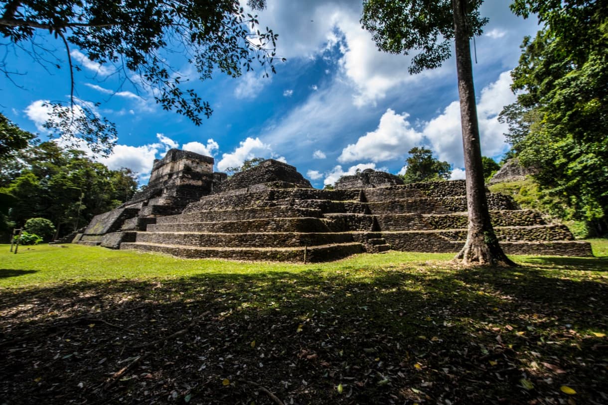 Ruines mayas entourées de nature luxuriante sous un ciel bleu, Caracol, Belize