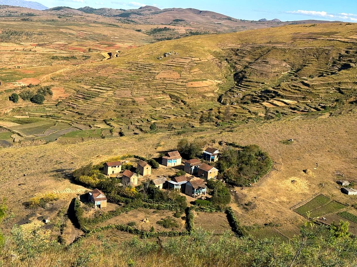 Ambositra, capitale de l'art zafimaniry avec ses paysages de rizières et maisons traditionnelles.