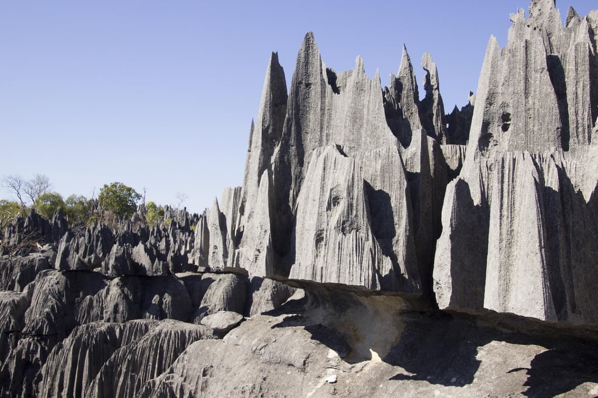 Tsingy gris au parc de l'Ankarana, formations rocheuses pointues sous un ciel bleu sur fond de verdure
