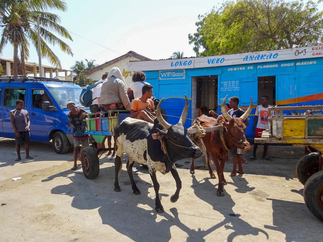 Vue d'une rue à Madagascar avec charrette à zébus et panneau WiFi gratuit.