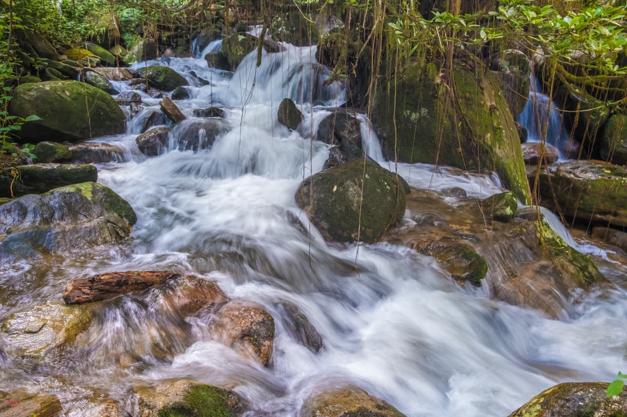 Ruisseau entre les rochers dans la forêt humide de la Montagne d'Ambre, Madagascar