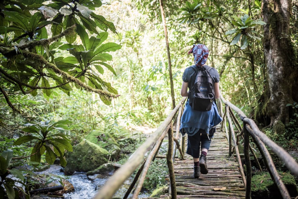 Passerelle en bois dans la forêt primaire de Ranomafana, Madagascar