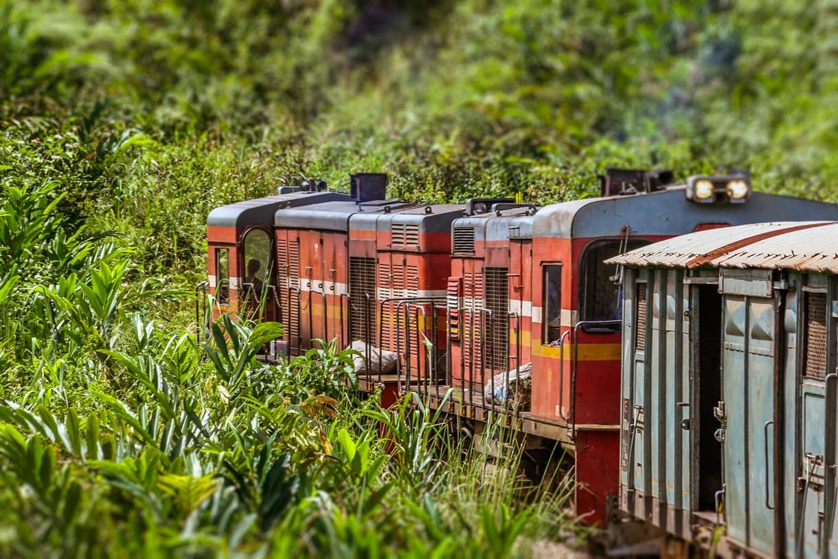 Train FCE traversant la végétation luxuriante de Madagascar