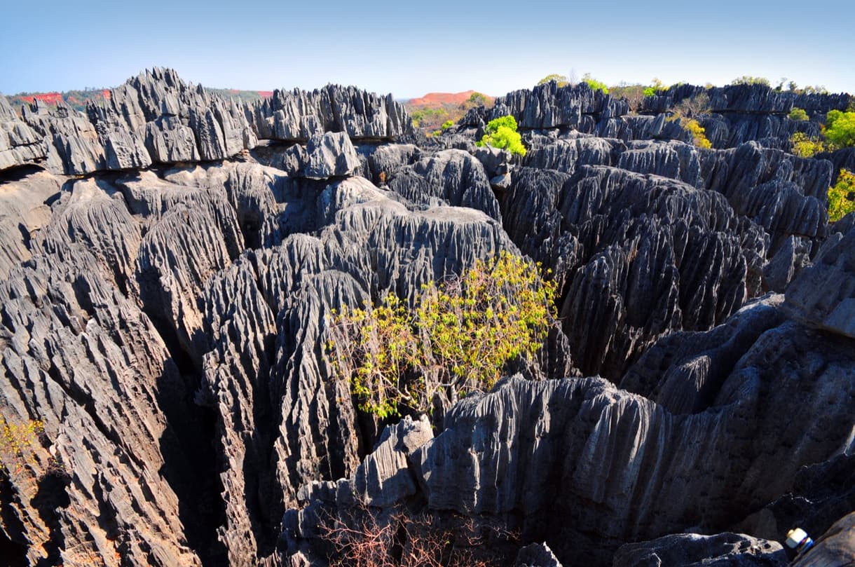 Tsingy de Bemaraha à Madagascar, formations rocheuses spectaculaires et végétation environnante.
