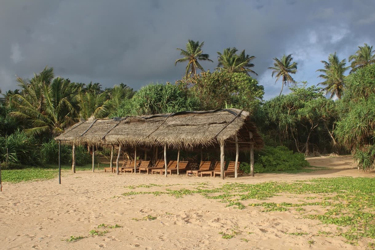 Plage de Bentota avec une hutte en bambou et des chaises longues, entourée de palmiers