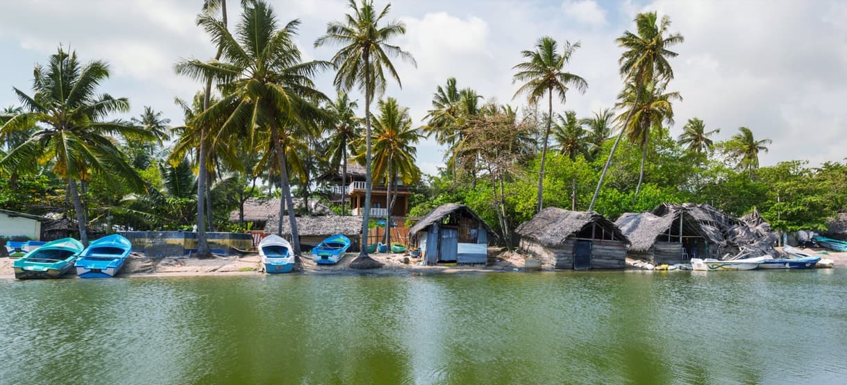 Village côtier au Sri Lanka avec des bateaux traditionnels et des maisons typiques sous les palmiers.