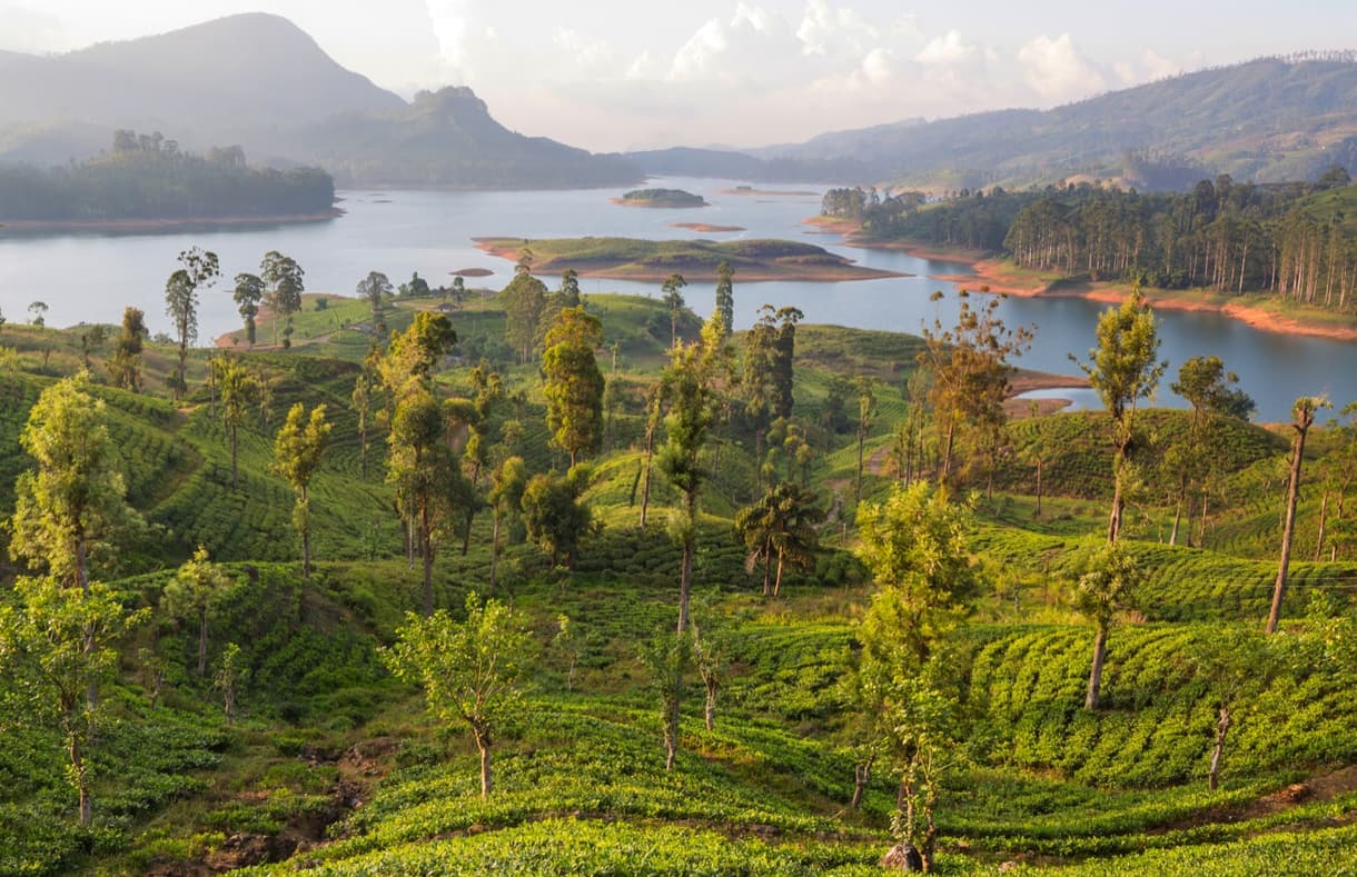 Lac au Sri Lanka entouré de collines verdoyantes et de plantations de thé