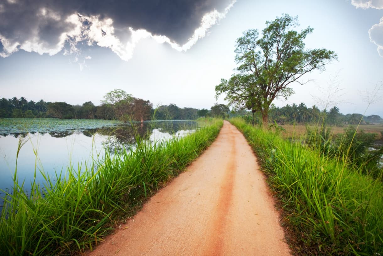 Chemin en terre bordé de verdure et d'eau, typique des paysages du Sri Lanka.